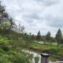 비봉체육공원 이미지