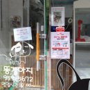 짱이야 애견미용 이미지