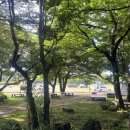 작은쉼터야영장 이미지