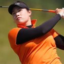 아이언피쉬 이미지