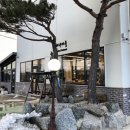 바람꽃해녀마을속초본점 이미지