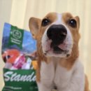 닥터88플러스오치점 | 애견사료 대용량 마이펫닥터 스탠다드플러스 치킨 연어 5kg 후기입니다