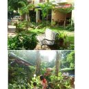 망고게스트하우스 이미지