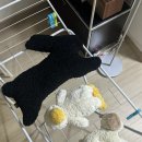 구남세탁