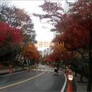 김용중치과의원 이미지