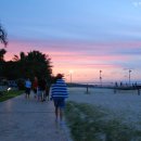 돌고래레스토랑 이미지