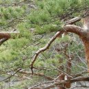 무릉계곡 이미지