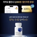 벨라코리아 | 뉴벨라 NMN 레스베라트롤로 노화 방지 영양제 솔직후기