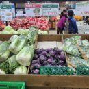 농협하나로마트 용호점 이미지