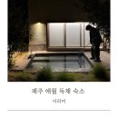 서리어 | 제주 애월 숙소 추천 돌담감성 애월독채숙소 서리어