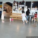 모모몽 애견까페 이미지