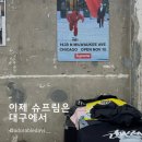 대구 스트릿 브랜드 편집샵 콜렉팅룸 / 슈프림 스투시 후기