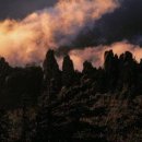 삼라만상 이미지