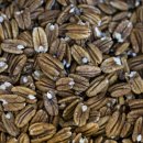 콜레스테롤 걱정? 간식을 ‘이것’으로 바꿨더니 수치 뚝 이미지