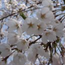 자은초등학교 이미지