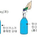 헨리의 법칙(감압병) 이미지