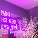 쏭노래연습장 이미지