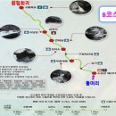 [제131차]7월강원도 홍천 오대산노인봉 명승1호 소금강계곡 산행 트레킹 이미지