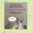 이화수학교실 | 벼는 익을수록 고개를 숙이고 고삼은 졸릴수록... 고개를 숙인다