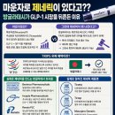 국제특허파트너스 | 😳 마운자로 제네릭이 있다고?? 방글라데시가 GLP-1 시장을 뒤흔든 이유 (센트비 추천인 : M9V4XL)