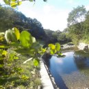 푸른산농원 이미지