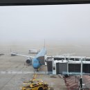 430 | 다낭행 베트남항공 후기 (VN431/VN430) 좌석부터 기내식까지 리얼 리뷰