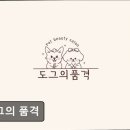 애견의품격 - 강서구 공항대로59길 8 | 애견의품격