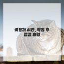 마포-현장-마포-176 이미지