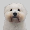 노래제목 이미지