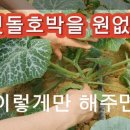 김순복 농장 이미지