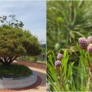 인동동 행정복지센터 이미지