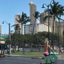 하와이약국 이미지