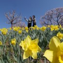 맑은하늘 이미지