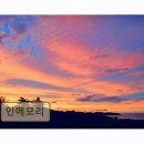 인앤양양 | <양양 펜션 추천> 인메모리 조용한 바다 전망과 개별 바비큐