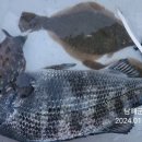 남해-318 이미지