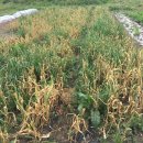 미화농장 이미지