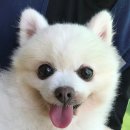 럭키교육센타(비전독서실) | ㅣ봉사활동ㅣ경기 파주 카라(Kara) 더봄센터 봉사 후기