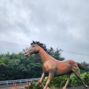 의귀리 김만일 묘역 이미지