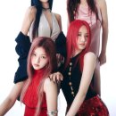 라이프트레이드