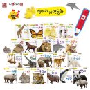 자연동화 이미지