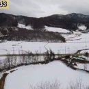 G1133 이미지