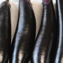 삼선농장 이미지