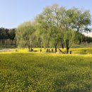 대한불교천태종대성사동해유치원 이미지