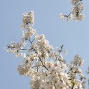 하단동1200 이미지