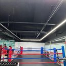 SY 주짓수&복싱 이미지