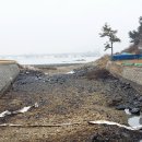 신덕마을 이미지