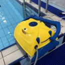 스윔월드 이미지