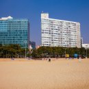 신라스테이 해운대 이미지