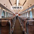 한국도심공항㈜ | 오사카 여행 준비물, 난카이 라피트 간사이 공항에서 난바역 왕복 후기