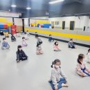 경희대 신성 태권도장 이미지